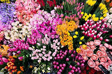 《文明6》领袖包第四弹撒哈拉统治者预告